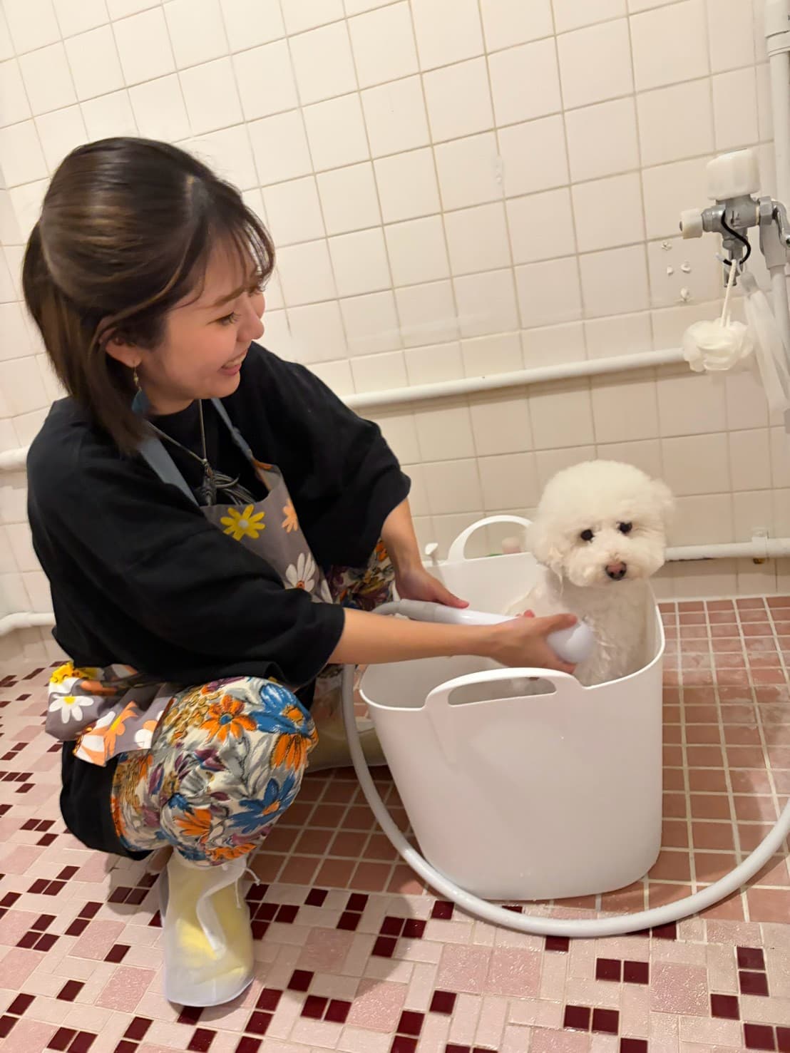 わんness代表 佐々木那菜。自宅での温浴ケア中に笑顔でわんちゃんと向き合う様子